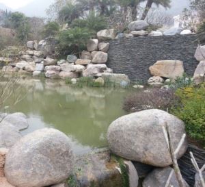 बागवानी कोबल